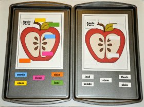 Apple Parts Cookie Sheet Activity