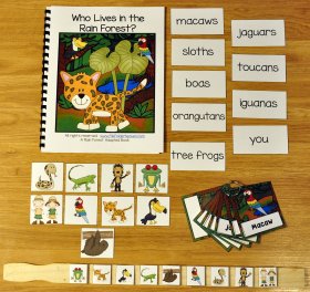 Rain Forest Adapted Book and Vocabulary Activities
