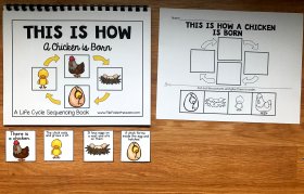 Chicken Life Cycle Sequencing
