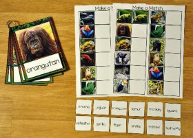 Rain Forest Match and Flip Book and Matching Mats