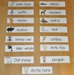 Cold Climate Animals Match File Folder Game