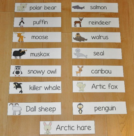 Cold Climate Animals Visual Word Wall Words