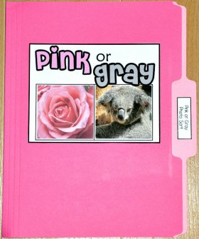 Pink or Gray Sort File Folder Game (Real Photos)