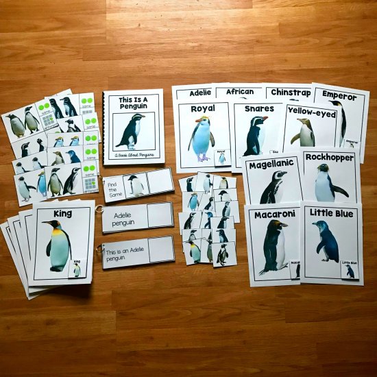 Penguin Unit (w/Real Photos)