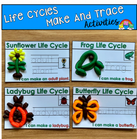 Life Cycles Make and Trace Mats