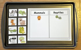 Mammals and Reptiles Sort Cookie Sheet Activity