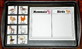 Farm Mammals and Birds Sort Cookie Sheet Activity