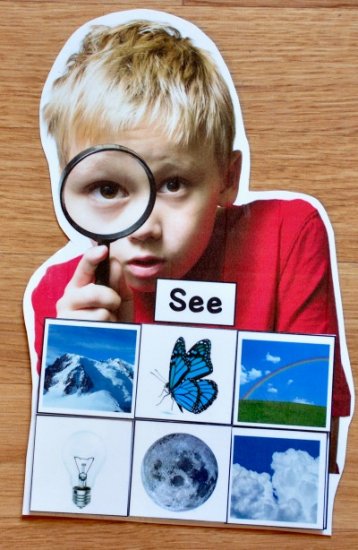 Five Senses Sorting Mats (w/Real Photos) - Click Image to Close