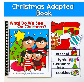 Christmas Adapted Book: What Do We See On Christmas?
