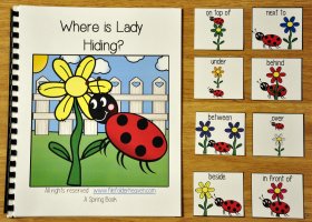 "Where is Lady Hiding?" Adapted Book