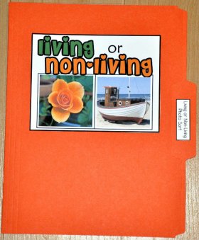 Living or Non-Living Sort File Folder Game (Real Photos)