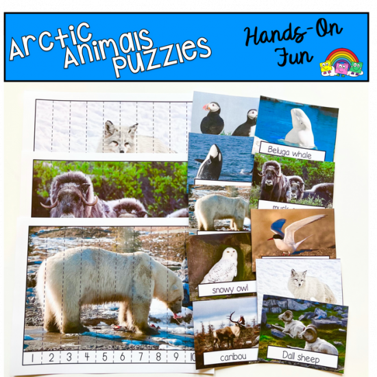 Arctic Animals Puzzles (W/Real Photos) - $ : File Folder Games at File  Folder Heaven - Printable, hands-on fun!