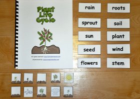 Plant Life Cycle Adapted Book