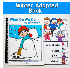 Winter Adapted Book: What Do We Do In Winter?