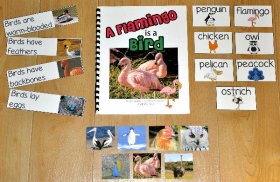 Birds Adapted Book--A Flamingo is a Bird