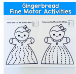 Which Ginger is Which Riddle Book