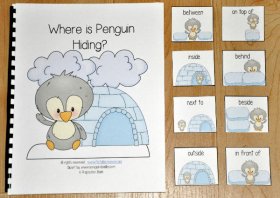 "Where is Penguin Hiding" Adapted Book