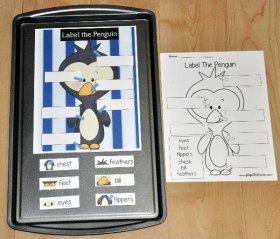 Label the Penguin Cookie Sheet Activity