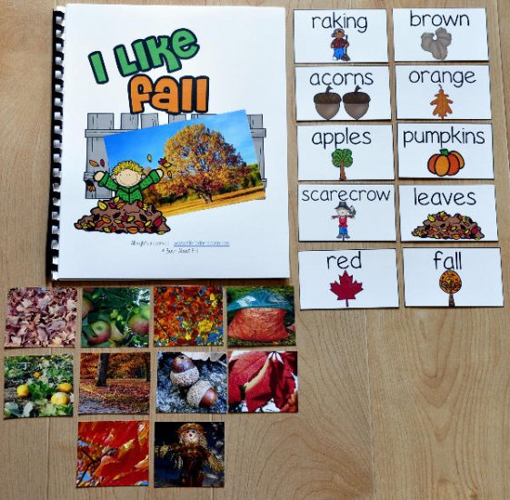 I Like Fall Adapted Book (w/Real Photos)