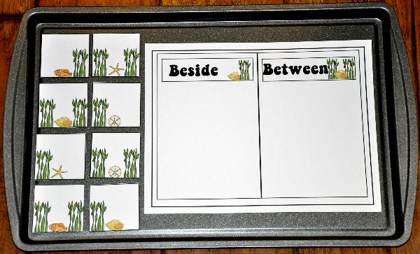 Beside or Between the Seaweed Sort Cookie Sheet Activity