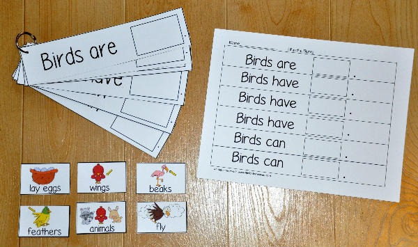 \"Birds Are, Birds Have, Birds Can,\" Flipstrips