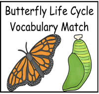Butterfly Life Cycle Vocabulary Match File Folder Game