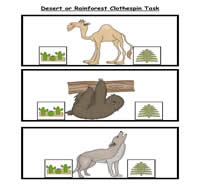Desert Animals or Rainforest Animals Clothespin Task