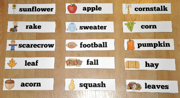 Fall Themed Visual Word Wall Words