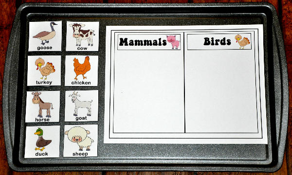 Farm Mammals and Birds Sort Cookie Sheet Activity