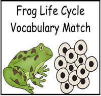 Frog Life Cycle Vocabulary File Folder Game