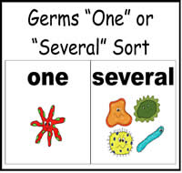 Germs \"One\" or \"Several\" Sort File Folder Game
