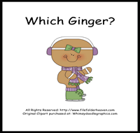 Which Ginger is Which Riddle Book