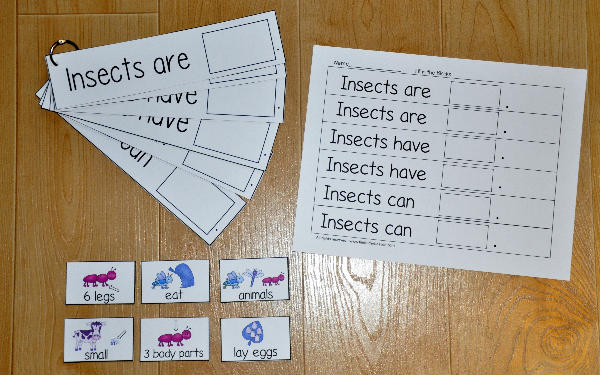 \"Insects Are, Insects Have, Insects Can\" Flipstrips