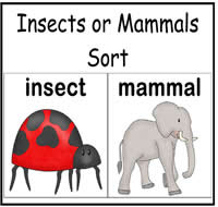 Insect or Mammal Sort File Folder Game
