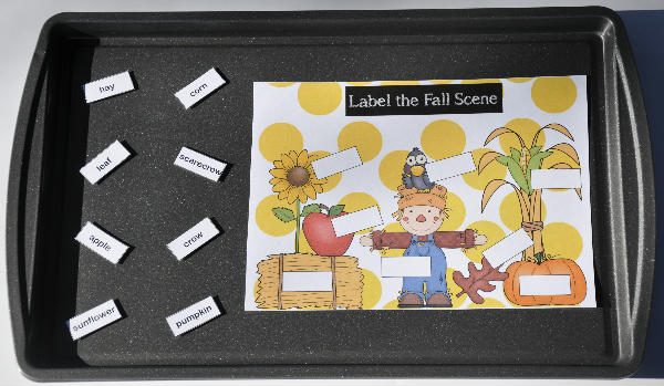 Label the Fall Scene Cookie Sheet Activity
