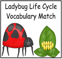 The Ladybug Life Cycle Vocabulary Match File Folder Game