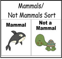 Mammals/Not Reptiles Sort File Folder Game