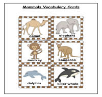 Mammals Vocabulary Cards