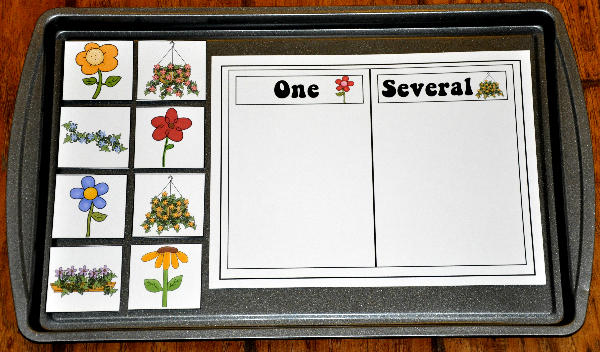 May Flowers One or Several Sort Cookie Sheet Activity