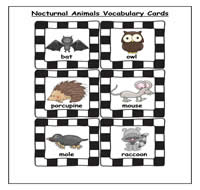 Nocturnal Animals Vocabulary Cards