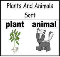 Plants or Animals Sort File Folder Game