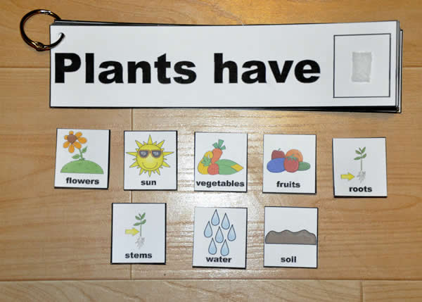 \"Plants Have\" \"Plants Need\" \"Plants Grow\" Flip Strips