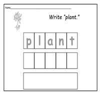 Handwriting Practice Sheets Set 17: Plant Life Cycle Words