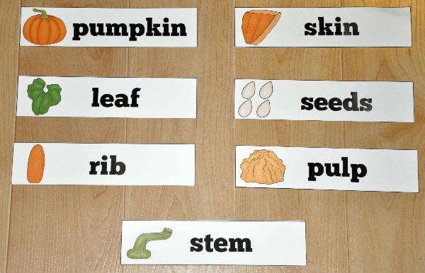 Pumpkin Parts Visual Word Wall Words