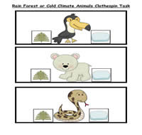 Rain Forest or Cold Climate Animals Clothespin Task