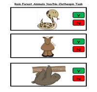 Rain Forest Animal Yes/No Clothespin Task