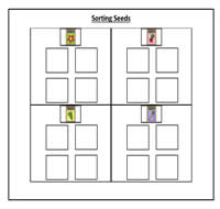 Sorting Seeds Cookie Sheet Activity