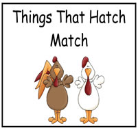 Things That Hatch Match File Folder Game