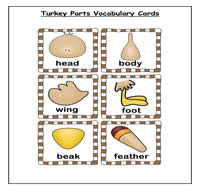 Turkey Parts Vocabulary Cards