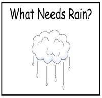 What Needs the Rain File Folder Game
